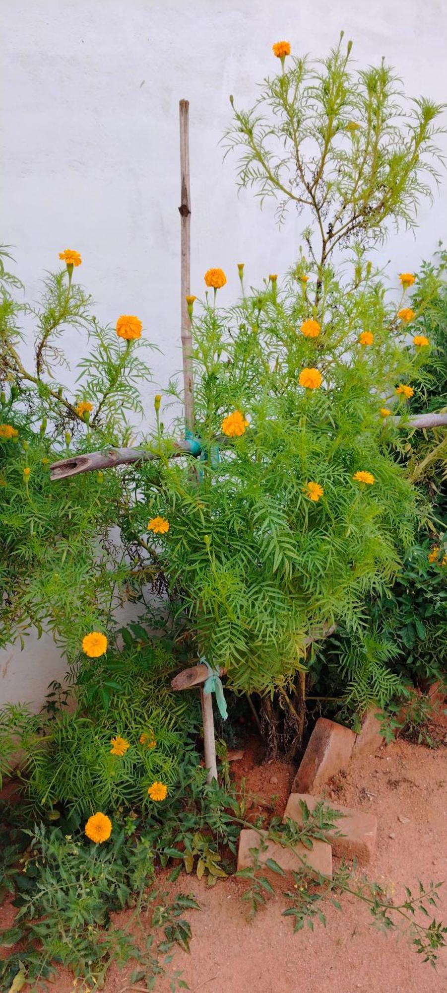 Laxmi Home Stay Ghura 외부 사진